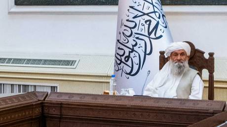 Prime minister in Taliban government, Mullah Mohammad Hassan Akhund © AFP / Qatari Foreign Ministry