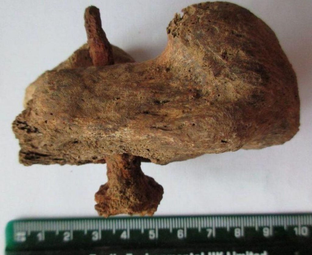 descoperiri arheologice biblice