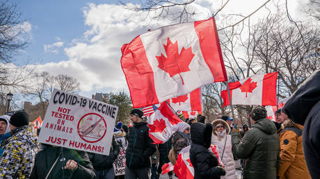 Protesters during an anti-vaccine mandate rally in Queens Park, Toronto