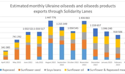 export oilseeds